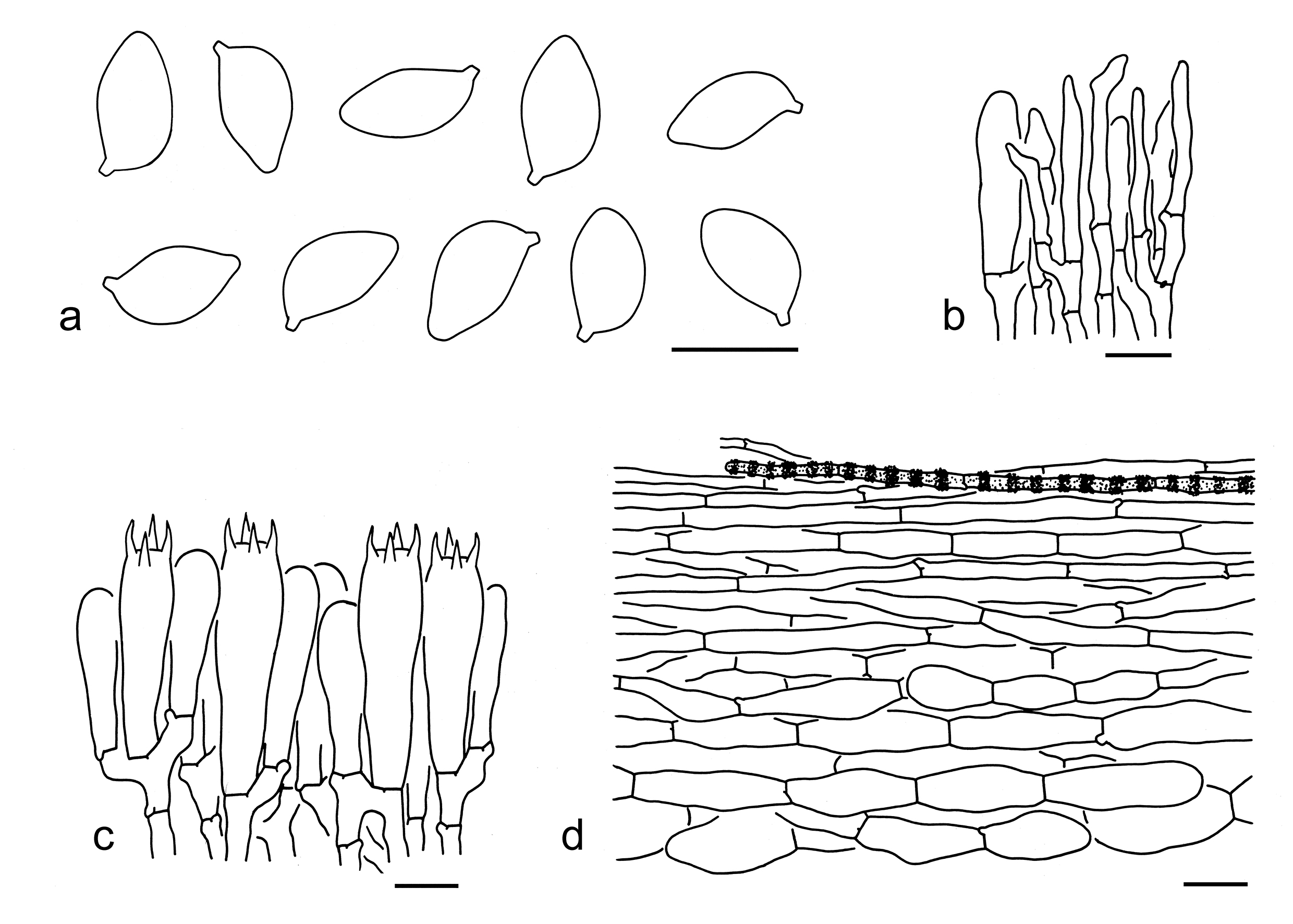 Figure 85